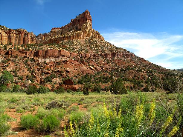 수도주 리프 국립 공원 - red rocks rock canyon escarpment 뉴스 사진 이미지