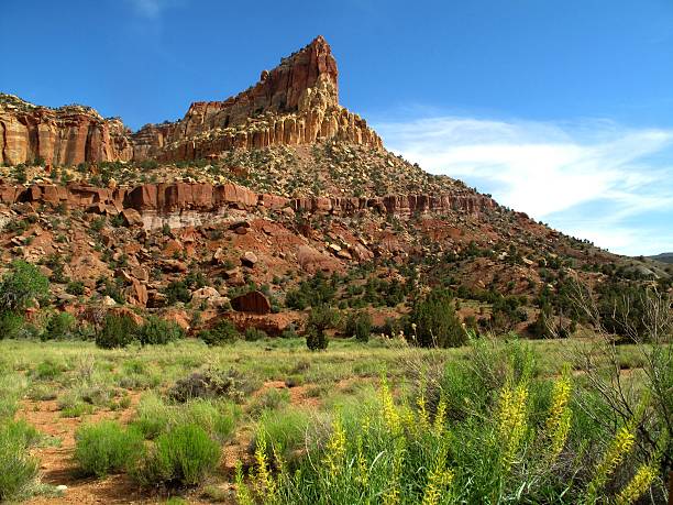 istock Capital Reef National Park 513133411