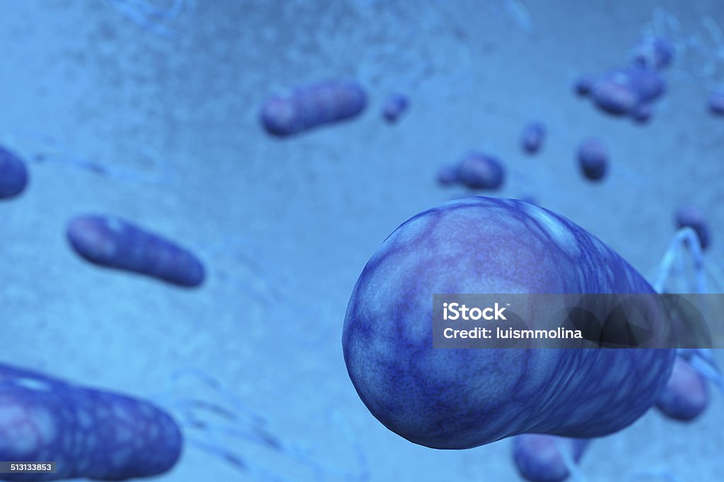 Escherichia Coli (E. Coli.) Bacillus Subtilis Stock Photo