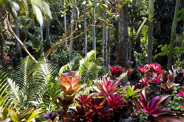 istock Beautiful tropical garden 513134455
