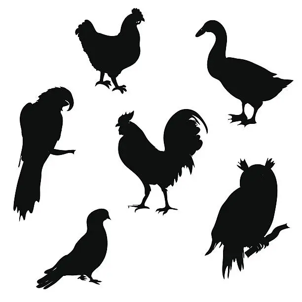 Vector illustration of Set of birds silhouettes