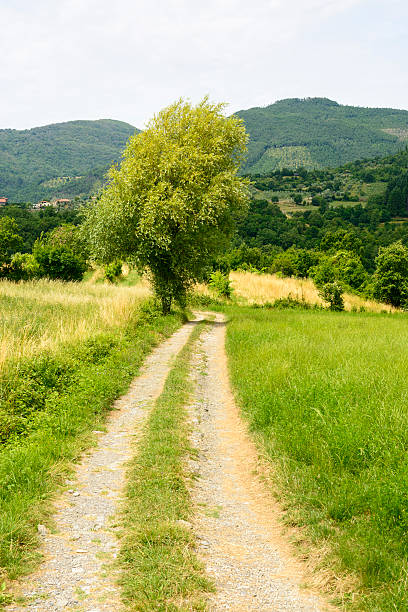 istock Regnano, old village in Tuscany 513135629