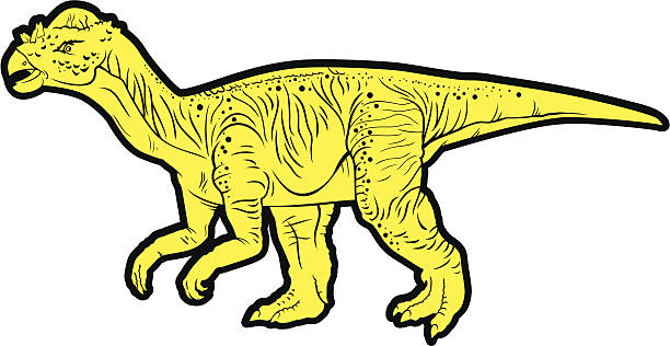 herbivorous dinosaur (Pachycephalosaurus) herbivorous dinosaur vector silhouette pachycephalosaurus stock illustrations