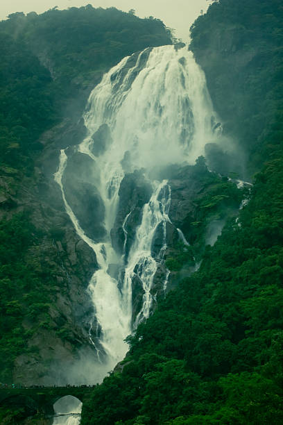 Dudhsagar Falls Stock Photos, Pictures & Royalty-Free Images - iStock