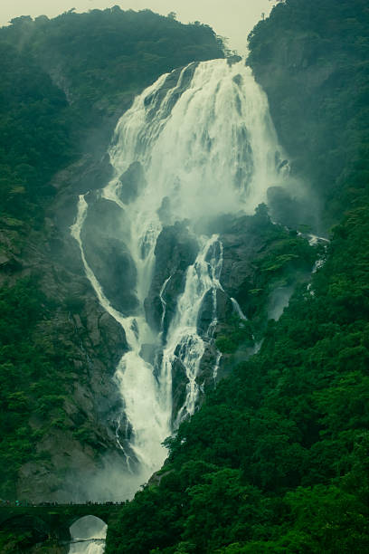 Dudhsagar Falls Stock Photos, Pictures & Royalty-Free Images - iStock Dudhsagar Falls Stock Photos, Pictures & Royalty-Free Images - iStock