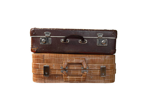 istock Pair of suitcases 513163215