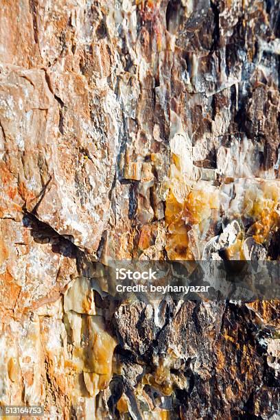 Fossil Wood Texture Stock Photo - Download Image Now - Ancient, Backgrounds, Beauty In Nature