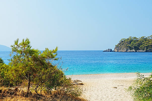 istock Lets go to the beach 513179275