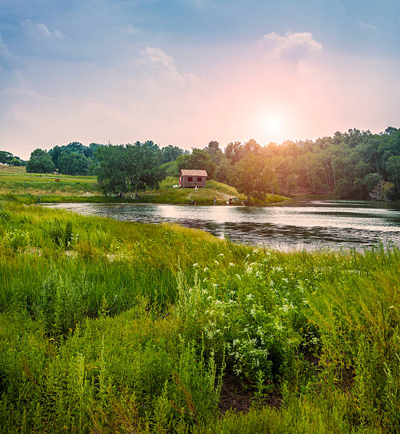 istock field of grass and sunset 513182007