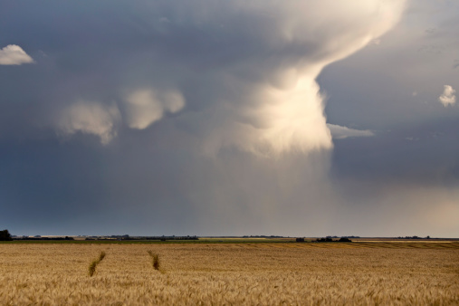 Storm Clouds Saskatchewan with swathed farrnland in foreground