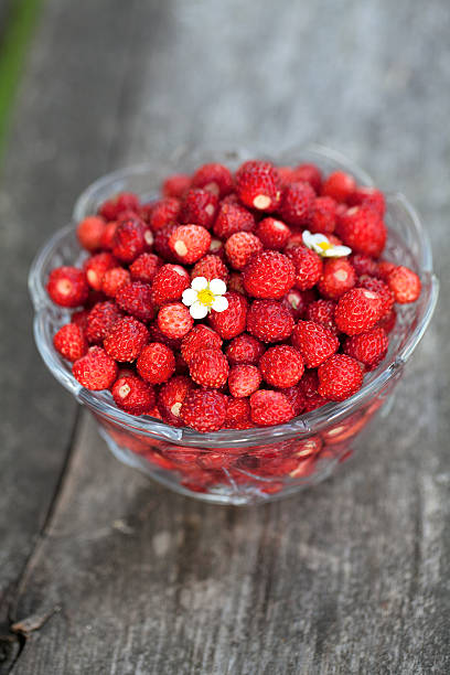 istock wild strawberries on wooden surface 513184461