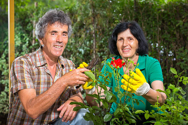istock Happy Mature Couple Gardening 513184903