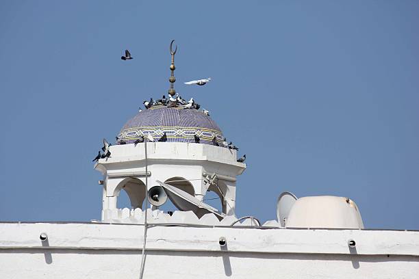 Close-up of a minaret in Muscat, full of birds on its roof, facing the sky