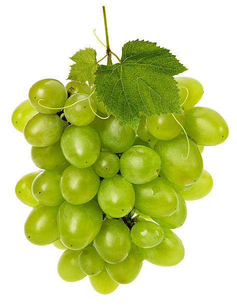 istock green grapes isolated on the white background 513203365