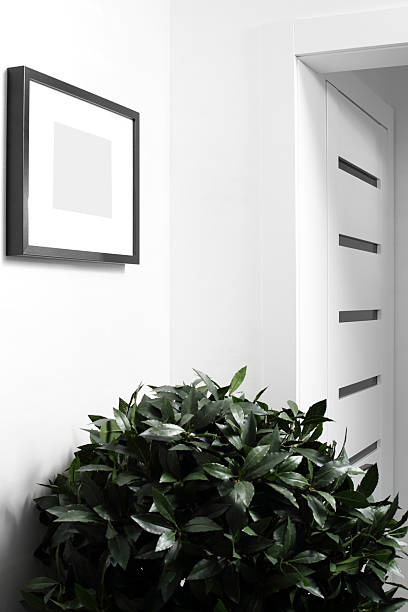 istock interior of bright hallway home 513203977