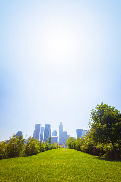 istock Downtown Los Angeles California 513204465