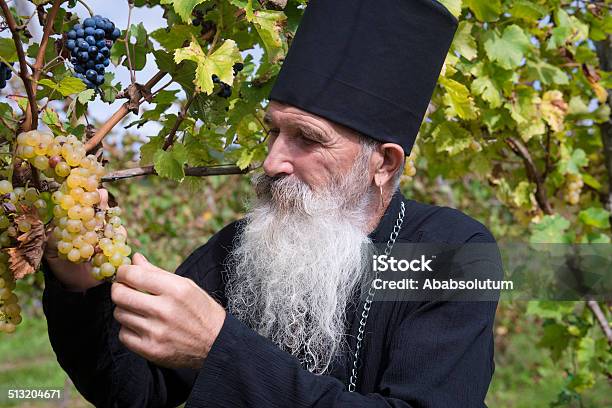 Senior Ortodox Sacerdote Durante La Recolección De Las Uvas Europa Foto de stock y más banco de imágenes de 65-69 años