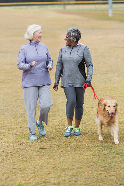 istock Senior friends walking in park 513205087