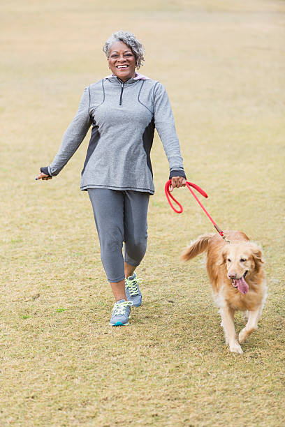 African American woman walking dog African American senior woman (60s) walking her golden retriever. mature adult walking dog stock pictures, royalty-free photos & images