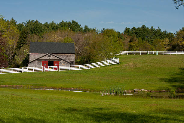 istock The Horse Latitudes, New England Spring Stable Scene 513205771