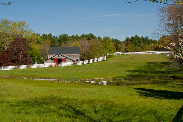 istock The Horse Latitudes, New England Spring Stable Scene 513205775