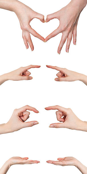 istock Collage of female hands showing various gestures isolated 513205923