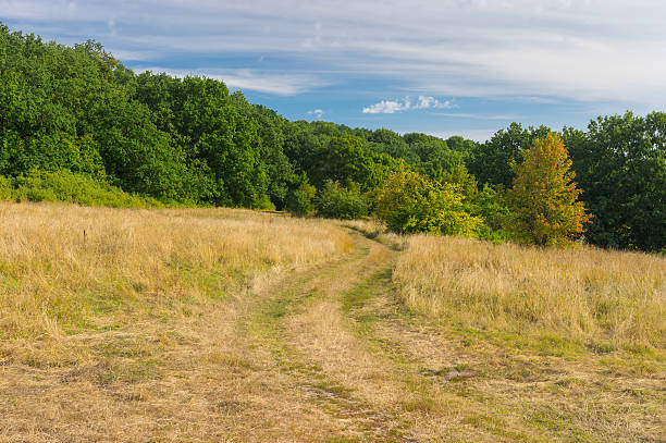 istock Morning landsacpe with country road 513206651