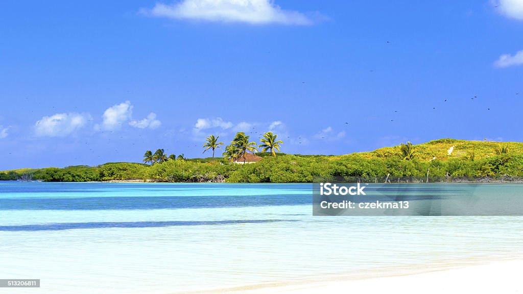 Tropical paradise Tropical paradise on Contoy Island National Park, Mexico Contoy Island Stock Photo