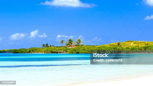 Tropical Paradise Stock Photo - Download Image Now - Contoy Island, Island, Beach