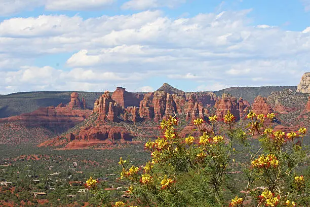 Photo of Sedona Red Rock Vista