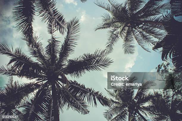 Branches Of Coconut Palms Under Blue Sky Stock Photo - Download Image Now - Abstract, Beach, Blue