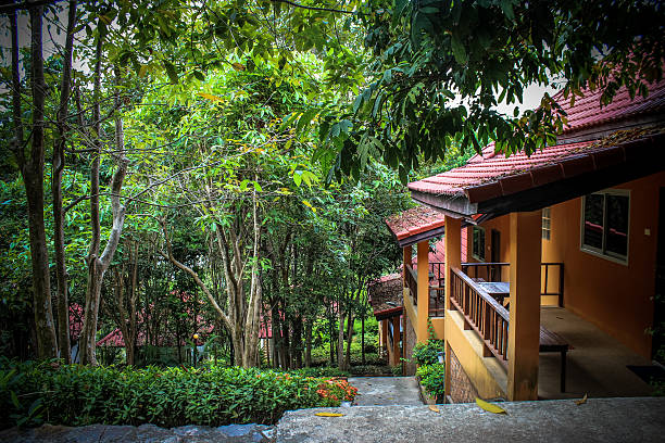 istock beautiful bungalow resort in jungle, Koh Samui, Thailand 513210839