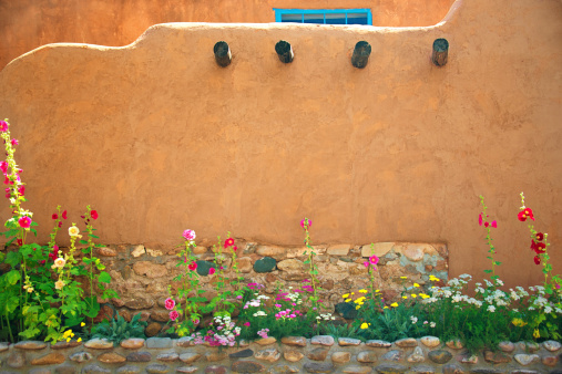Stucco Wall and Flowers