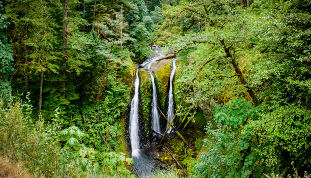 tripla cascata, oregon -xxxl - triple falls immagine foto e immagini stock