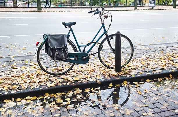Sports Vintage bicycle in autumn weather, falling leaves