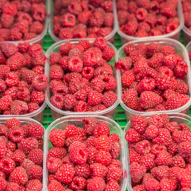 istock Red raspberries in boxes at local farm market 513224726