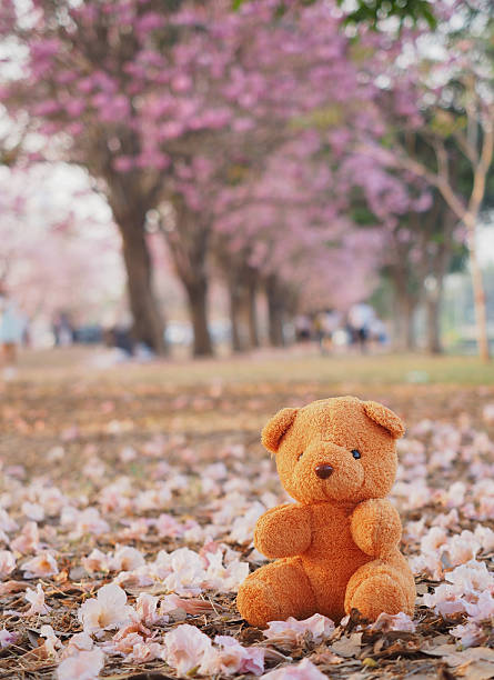 istock Teddy bear toy on pink flower 513226560