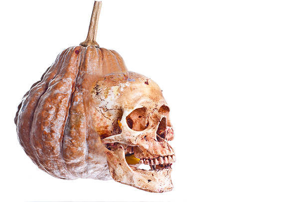 istock Pumpkin and Skull Halloween 513226975