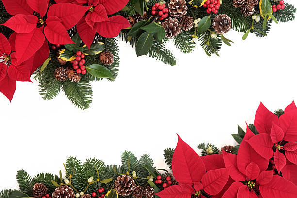 Christmas Floral Border stock photo