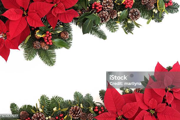 Christmas Floral Border Stock Photo - Download Image Now - Poinsettia, Christmas, Border - Frame