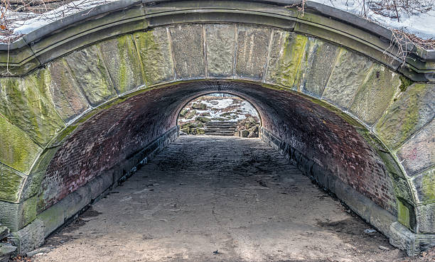 istock Central Park, New York City tunnel 513227241