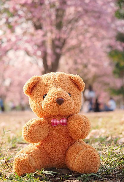 istock Teddy bear toy on pink flower 513228004