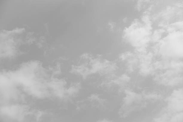 istock Abstract gray background composed of indistinct cloud shapes 513228240