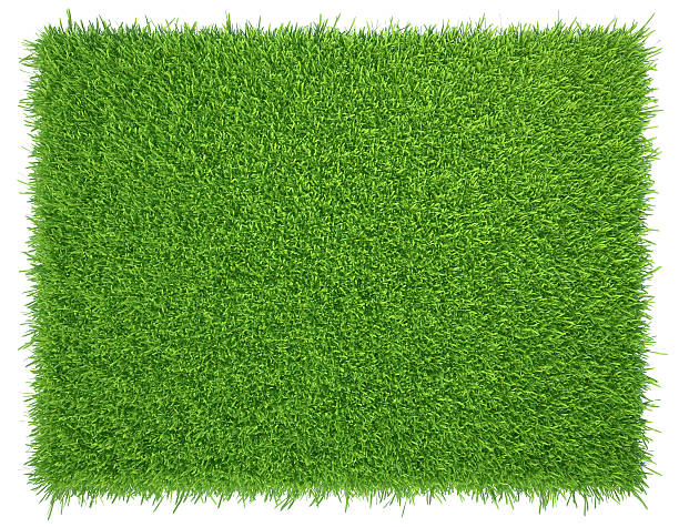istock Green grass. natural background texture. fresh spring green grass 513229118