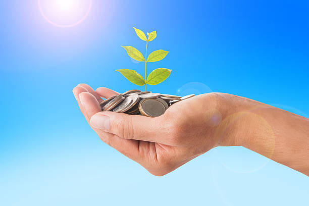 istock Hand holding plant sprouting from a handful of coins 513230124