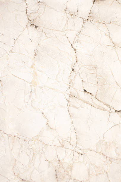 istock white paper background, creased paper texture 513230132