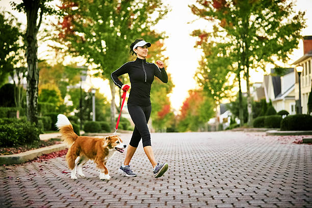 Young Woman Walking Dog Young woman walking her don in a neighborhood with houses and trees in the background. racewalking photos stock pictures, royalty-free photos & images
