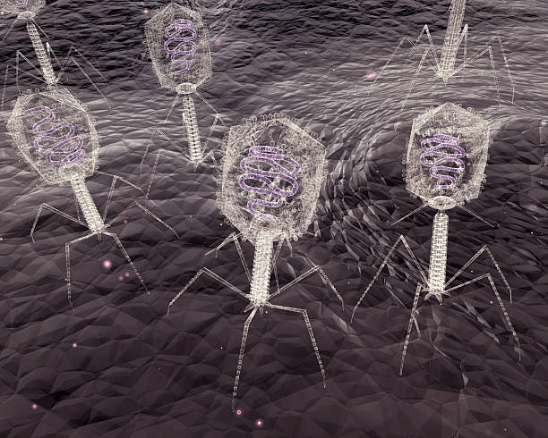 Bacteriophage Viruses stock photo