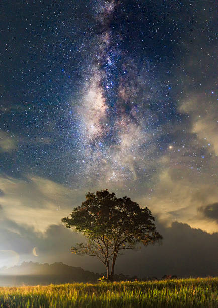 istock The milky way and the tree stand alone 513231062