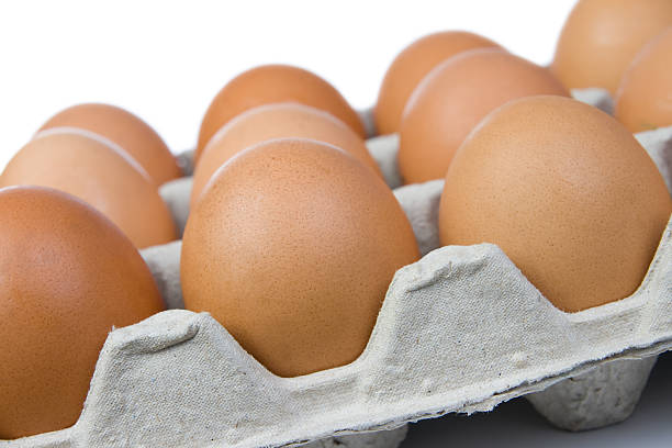huhn eier - cholesterol ellipse shell box stock-fotos und bilder